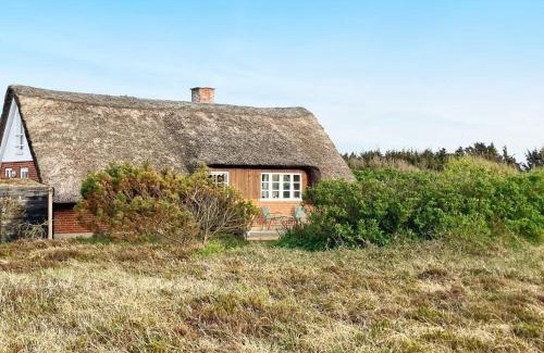 Nørre Lyngvig House | 6 person holiday home in Ringkøbing