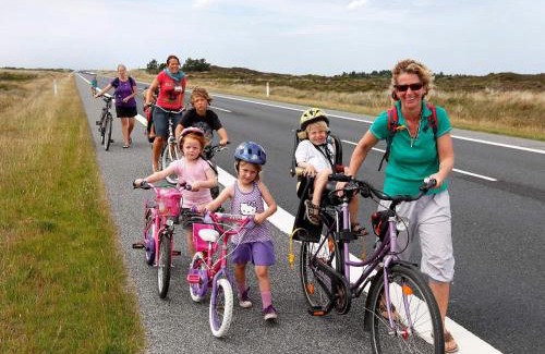 Skaerbaek House | 6 person holiday home in Skærbæk-By Traum