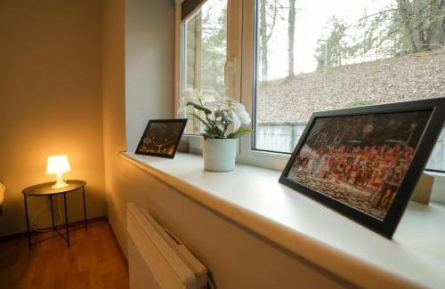 Gratiskes House | 6 vietų namelis ant ežero kranto