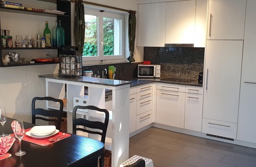 Siglistorf Apartment | 66m² of relaxation between the southern Black Forest, Rhine (Falls), hot springs