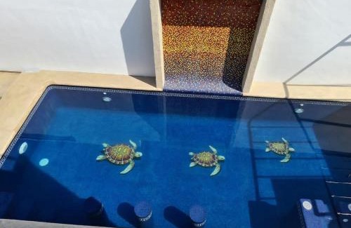 Cuautla House | 7 Gotas