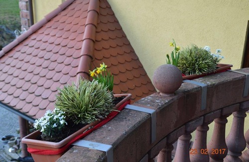 Lauf Apartment | 70 m² Apartment ∙ 2 bedrooms ∙ 4 guests