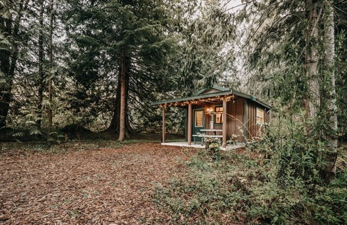 Maple Falls Cabin | 72MF - Rustic - Pets Ok - Sleeps 2 by RedAwning