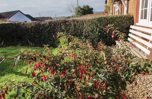 Acrefair Cottage | 8 New Houses