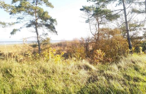 Hadsund House | 8 person holiday home in Hadsund-By Traum