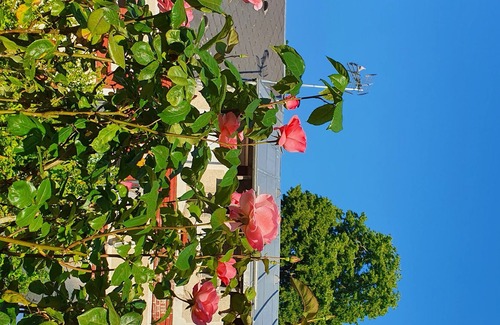 Montdidier House | 8-room house with swimming pool near A1,