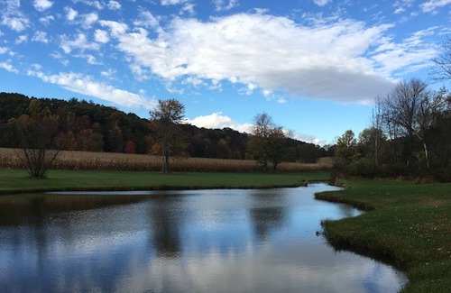 Town of Marbletown House | 80-Acre Estate with Private Heated Pool and Stunning Fall Foliage, Hudson Valley