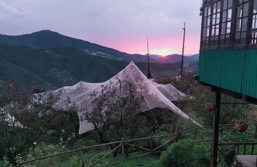 Rampur Cottage | 80 year old Vintage property.located between Apple orchards and pine trees