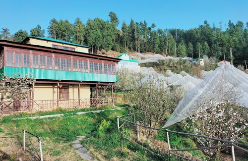 Rampur Cottage | 80 year old Vintage property.located between Apple orchards and pine trees