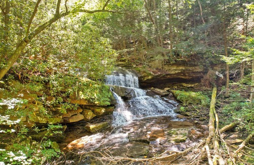 Moatsville RV Rental | 81 Acre Waterfront, Mountain View Camping & Recreational Use Private Property