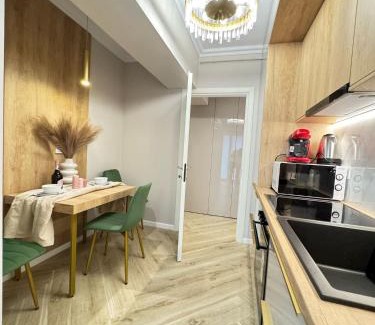 Iasi Apartment | 83 Vlaicu Luxury Aparthotel with Underground Parking