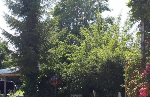 Stadtmitte Apartment | 85sqm 2-room apartment "Pauluste" with quiet garden/terrace and close to the city center
