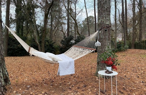 Roswell House | 9min from DT Alpharetta and DT Roswell - Equestrian - River - Hike - MTB Trail