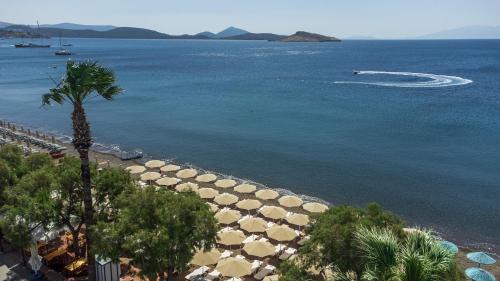 Ortakent Hotel | AÇELYA OTEL