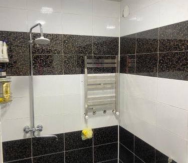 Lankaran Apartment | Ağ Ev Guest House
