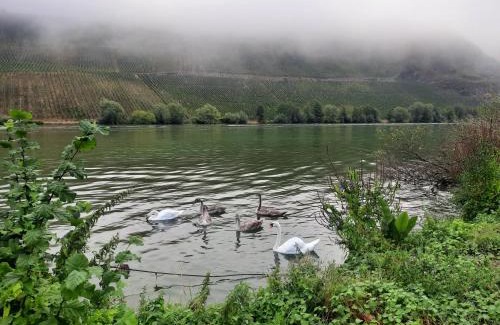 Niederemmel Apartment | A&A Urlaubswohnung Piesport