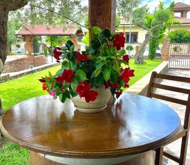 Vasto Bed & Breakfast | A casa dei nonni B&B