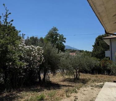 Scafa House | A Casa di Alice