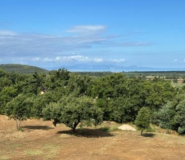 Scarlino Bed & Breakfast | A CASA DI LEO B&B Country House