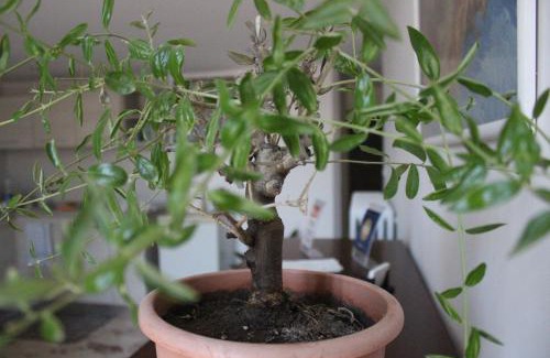 Lecce Bed & Breakfast | A Casa di Paola B&B Lecce