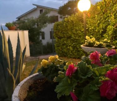 Campobasso Bed & Breakfast | A casa di Rita