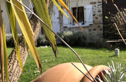 Charente Cottage | A comfortable and quiet gîte with private pool, wellness massages 🌺