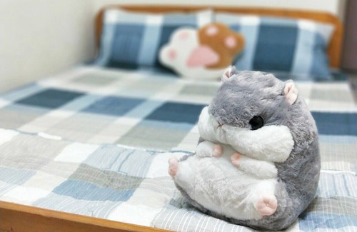 East District House | A cozy room with stories from FaFa