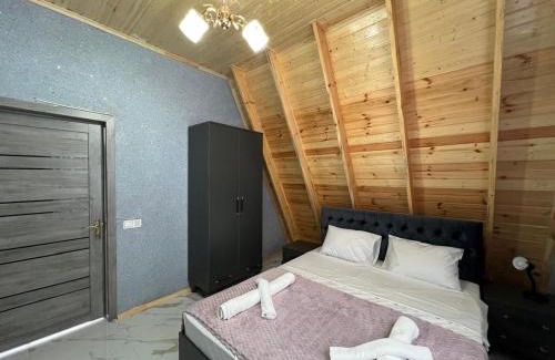 Gabala House | A Frame Astral