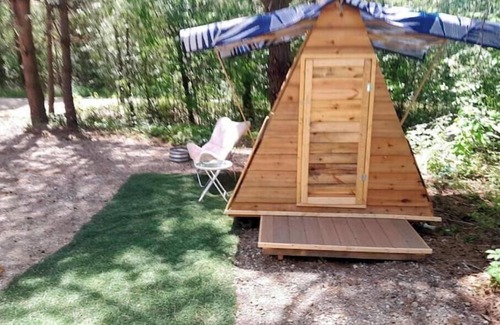 Cass City Cabin | A Frame Bunkie