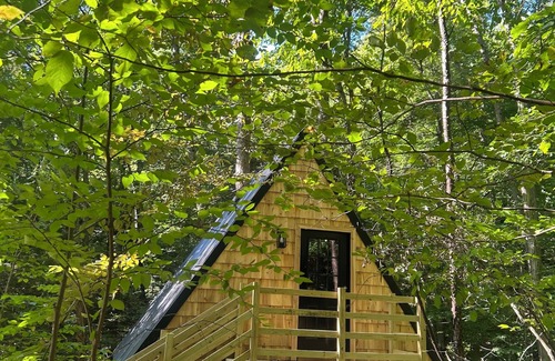 Benezette Cabin | A-Frame Tree House , 2 min fro the Elk center