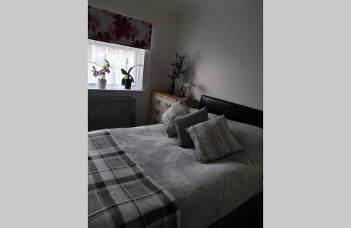 North End Apartment | A home away from home with a big welcome