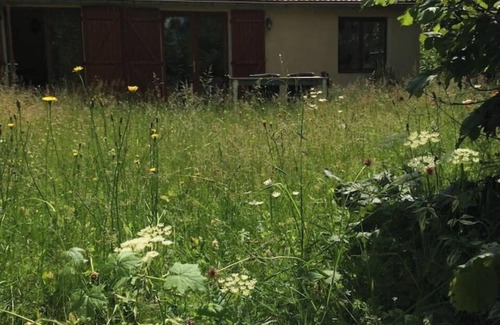 Bard-le-Regulier House | A house to recharge your batteries in the heart of the Morvan Park