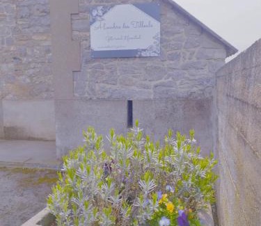 Onhaye House | A l ombre des Tilleuls