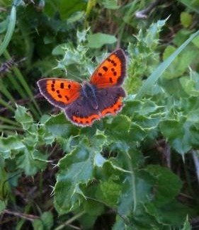 Monterolier Bed & Breakfast | A la campagne, au calme