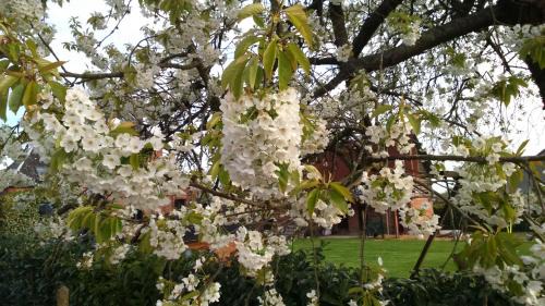 Monterolier Bed & Breakfast | A la campagne, au calme