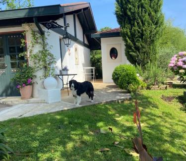 Cambo-les-Bains Apartment | A la Colline de la bergerie