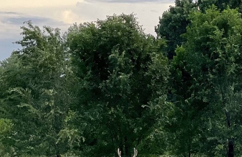 Aztec House | A little bit of country