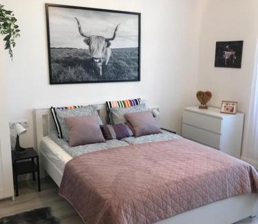 Istvanmezo Apartment | A Lovley newly decorated fully equipped apartment walking distance to the City Park where you will find the world famous Szechenyi thermal bath spa, Museums , and the Capital Circus , AC, smart TV, high speed internet