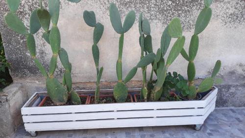 Michelica Bed & Breakfast | A'MA CASA