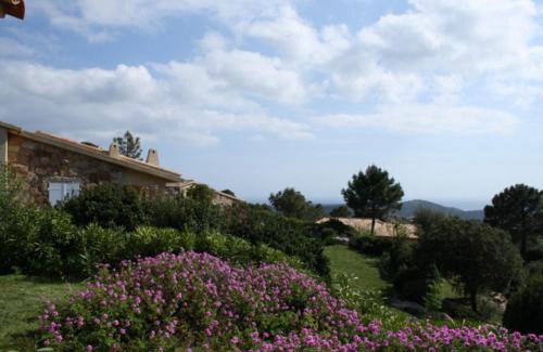 Monacia-d'Aullene House | A Machja 17
