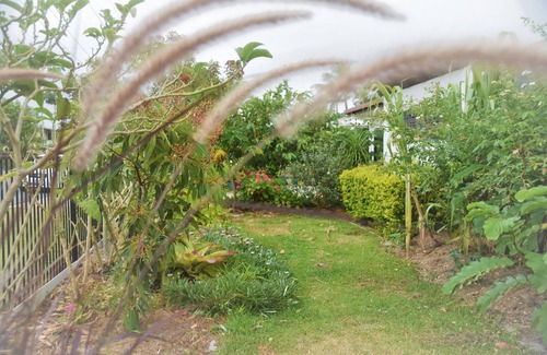 Bellara House | A peaceful Hacienda with lush gardens situated in a quiet steet - Pet Friendly