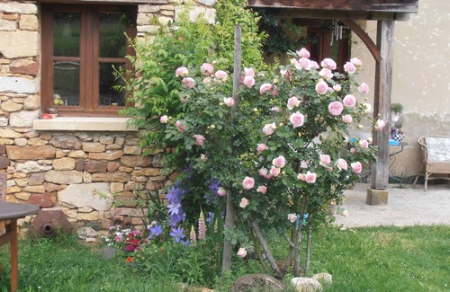 Marnac House | A perigordian house with a beautiful garden and a swimming pool.