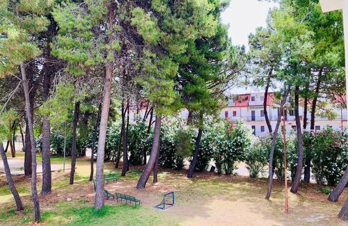 Nocera Scalo House | A pine forest by the sea