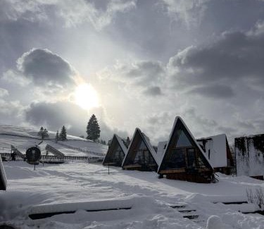Vatra Moldovitei Resort | A Pisc