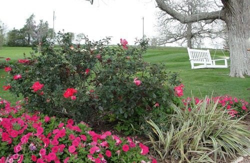 Brenham Cottage | A Romantic Escape at Tara Farms