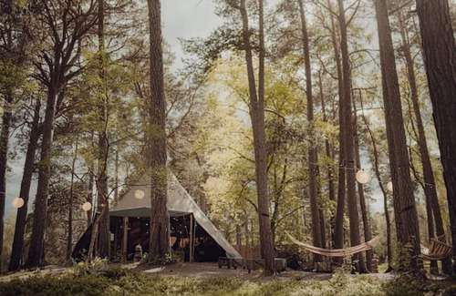 Nethy Bridge Cottage | A romantic hideaway for two in the woods