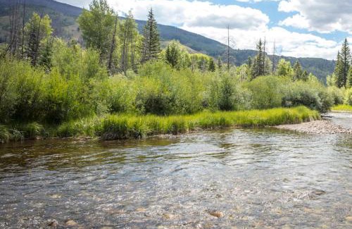 Silverthorne House | A Slice of Silverthorne