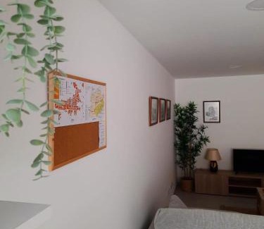 Mogadouro Apartment | A Toca dos Coelhos