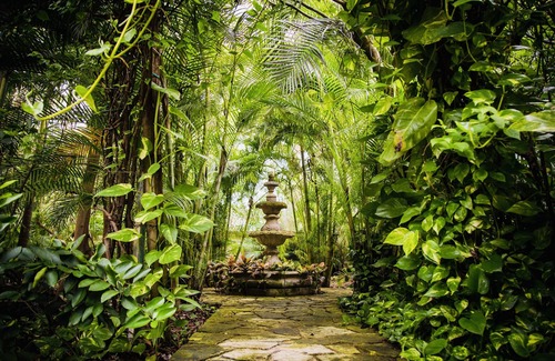 Xcaret House | A UNIQUE HACIENDA STYLE HOME, LOCATED IN THE TRANQUILITY OF THE JUNGLE BY XCARET