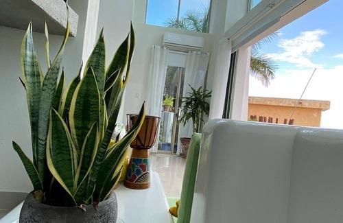 La Manzanilla House | A vacation in paradise